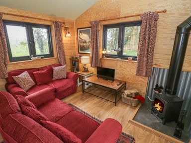 A sitting room with red sofas a wood burning stove and windows with patterned curtains at Willow in Dunchurch