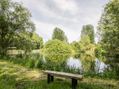 A wooden bench by a pond surrounded by trees and grasses at Dragonfly in Dunchurch