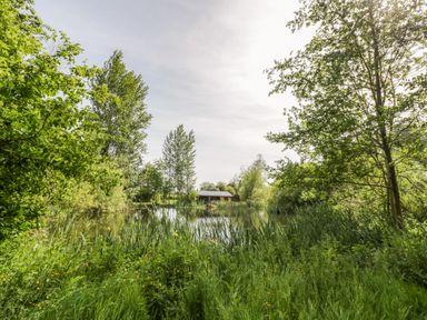 A small wooden cabin near a pond surrounded by tall grass and trees at Dragonfly in Dunchurch