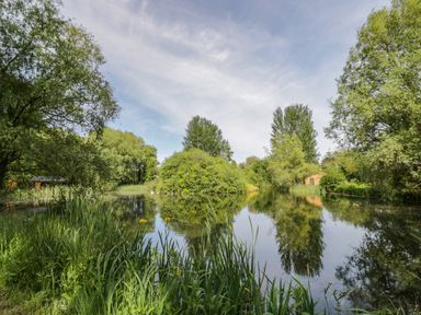 A pond surrounded by trees and tall grass at Dragonfly in Dunchurch