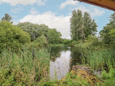 A pond surrounded by green trees and tall grasses under a partly cloudy sky at Dragonfly in Dunchurch