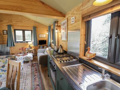 A compact kitchen and living area with a gas stove sink sofa and windows with blue curtains at Dragonfly in Dunchurch