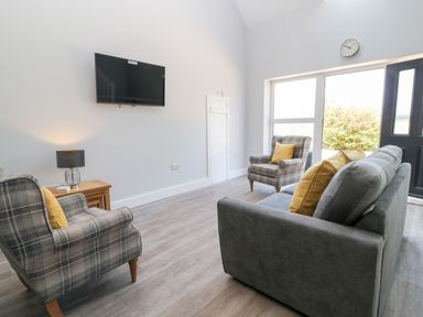 A living room with two plaid armchairs and a gray sofa with yellow pillows a wall-mounted TV and a wooden side table with a lamp at Willow Cottage in Combe Martin