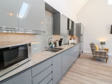 A modern kitchen with gray cabinets a microwave a bread box and a plaid armchair at Willow Cottage in Combe Martin