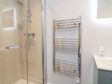 A bathroom with a shower enclosure a heated towel rail and a sink with a soap dispenser at Willow Cottage in Combe Martin