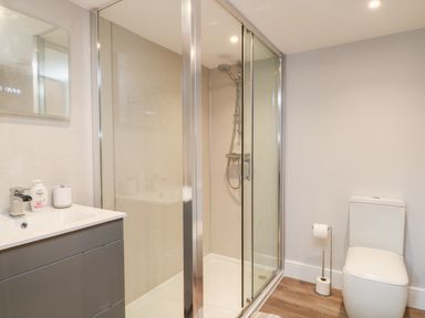 A bathroom with a shower enclosure a toilet a sink with a cabinet and a mirror at Willow Cottage in Combe Martin