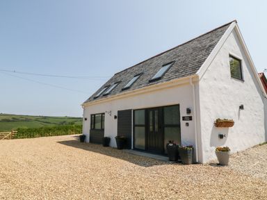 A white cottage with skylights flower pots and a gravel driveway at Willow Cottage in Combe Martin