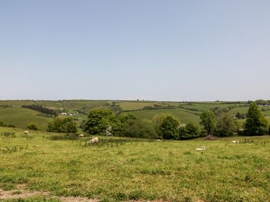 A green field with sheep and trees with hills in the background at Willow Cottage in Combe Martin