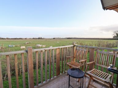 A wooden balcony with two chairs and a small table overlooking a field with sheep at The Egyptologist in Bolton Percy near Tadcaster