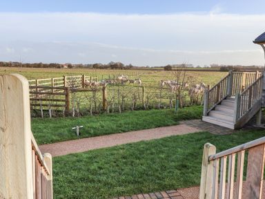 A view of a grassy garden with wooden stairs overlooking a fenced field with sheep at The Egyptologist in Bolton Percy near Tadcaster