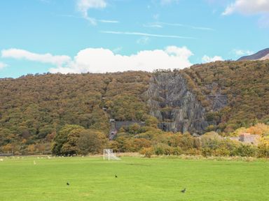 A grassy field with a soccer goal and birds in front of a forested hillside with a rocky cliff at 5 Thomas Street in Llanberis