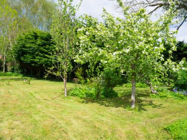 A garden with green grass and blossoming trees at Tros Yr Afon in Beaumaris