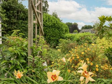 A garden with yellow flowers green bushes and a wooden trellis at Storrs Lodge in Bowness-On-Windermere