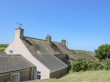 The back view of connected houses with tiled roofs and chimneys surrounded by grass and bushes at 2 Sunny Hill in Porthgain near St Davids
