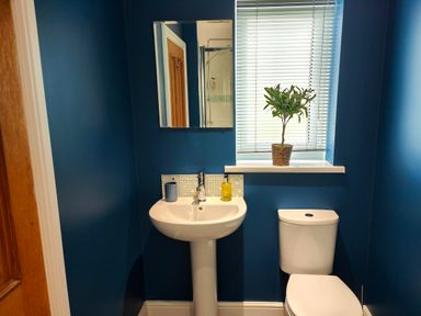 A bathroom with a white pedestal sink, toilet, mirror, window with blinds and a potted plant on the windowsill at Sanderson House in Cleator Moor