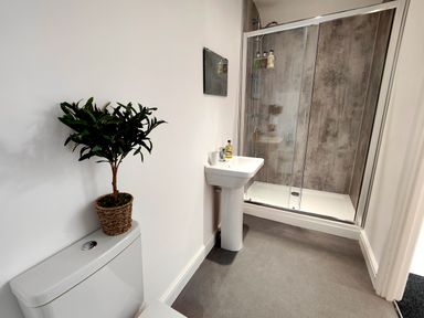 A bathroom with a toilet, a potted plant on the toilet, a pedestal sink, and a glass-enclosed shower at Sanderson House in Cleator Moor