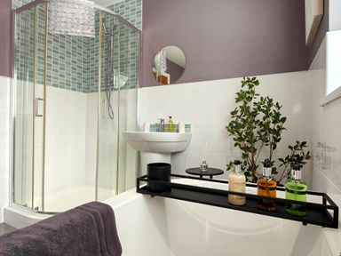 A bathroom with a shower enclosure sink round mirror plants and a bathtub with toiletries at Sanderson House in Cleator Moor