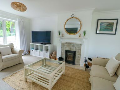 A living room with a television and fireplace at Bwthyn Clai in Llangefni