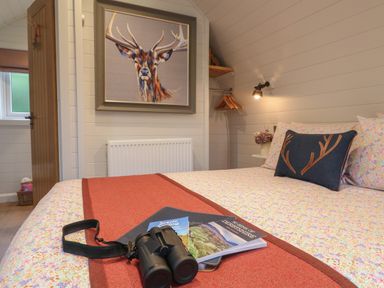 A bedroom with a bed having floral bedding a deer antler pillow binoculars and books on the bed with a deer painting on the wall at No Deer in Ashbourne