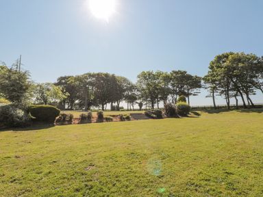 A grassy garden area with bushes and trees under a bright sun at Highcliffe Manor in Flamborough