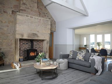 A living room with a stone fireplace and wood stove a gray sofa with cushions and a coffee table with plants at Ash Cottage in Lucker near Warenford
