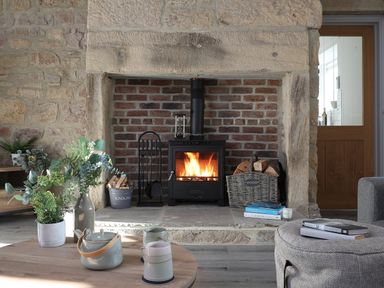 A living room with a wood-burning stove fireplace and plants on a table at Ash Cottage in Lucker near Warenford