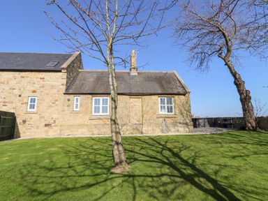 A stone house with windows and a chimney on a lawn with trees casting shadows at Ash Cottage in Lucker near Warenford