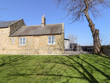 A stone house with a chimney and white windows with a tree and green grass in front at Ash Cottage in Lucker near Warenford