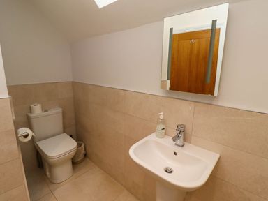 A bathroom with a toilet a sink with hand soap a mirror and a wooden door at Yew Cottage in Lucker near Warenford