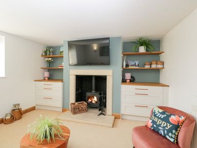 A living room with a fireplace television shelves and a pink chair with a happy cushion at 2 Dewars Farm Cottages Middleton Stoney