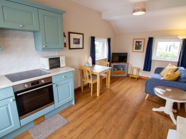 A kitchen and living area with blue cabinets dining table sofa television and wooden floor at Ramblers Rest in St Just