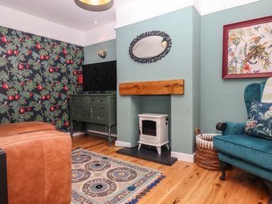 A living room with a teal armchair a patterned rug a small white stove a wooden mantel and a green TV cabinet at Rose Cottage in Bishopsteignton