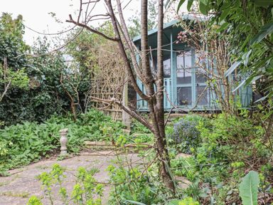 A garden with a small blue shed a tree and various plants at Rose Cottage in Bishopsteignton