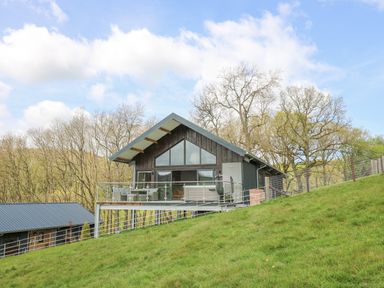 A wooden cabin with glass railing and outdoor furniture on a grassy hillside at Barcud Coch - Red Kite in Garthmyl