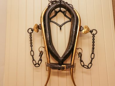 A horse collar harness hanging on a wall with cream paneling at Harness Lodge in Seahouses