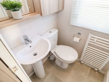 A bathroom with a sink toilet towel radiator and a plant on a shelf at 17 Summer Meadows in Ashington