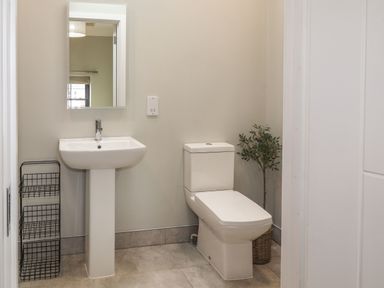 A bathroom with a pedestal sink a mirror above it a toilet a metal storage rack and a potted plant at The Pottery in Newport Pembrokeshire
