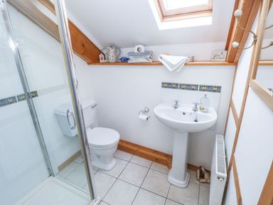 A bathroom with a shower enclosure a toilet a pedestal sink and a skylight at Ty Crydd in Llansaint near Kidwelly