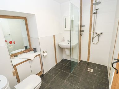 A bathroom with a toilet sink shower with a glass partition and a mirror at Ty Crydd in Llansaint near Kidwelly