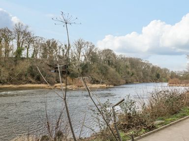 A river with dry plants along the bank and trees in the background at Belle Vue in Hay on Wye Herefordshire