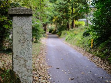 A narrow road covered with fallen leaves and bordered by dense green foliage with a stone pillar on the left at Villa 29 in Camelford
