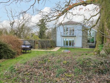 A backyard with a large tree and a hanging swing overlooking a modern two-story house at Cringoed House Llanarth near Aberaeron