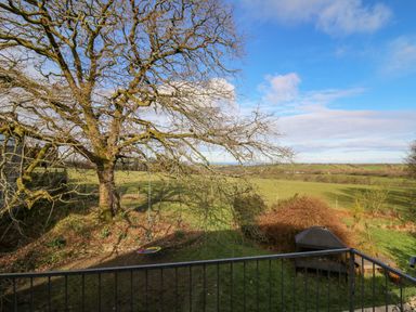 A yard with a large tree with a swing and a barbecue grill overlooking green fields at Cringoed House in Llanarth near Aberaeron