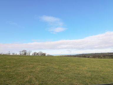A grassy field with sparse trees and a blue sky at Cringoed House Llanarth near Aberaeron