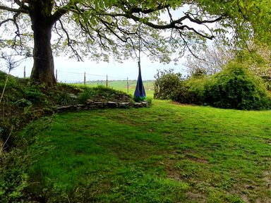 A garden area with a large tree and a hanging chair with green fields in the background at Cringoed House Llanarth near Aberaeron