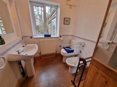 A bathroom with a sink toilet bidet window and handrails at Cringoed House Llanarth near Aberaeron