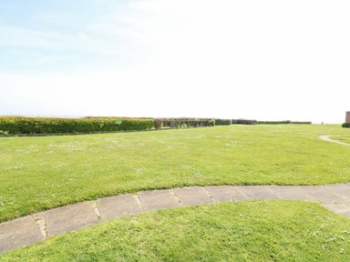 A grassy outdoor area with a curved concrete path and hedges at Gull Cottage in Kessingland