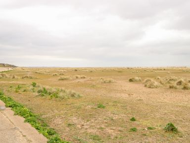 A sandy flat landscape with grass tufts under a cloudy sky at Gull Cottage in Kessingland