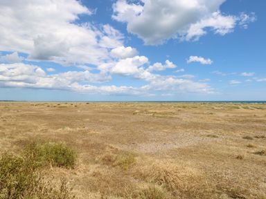 A dry grassy coastal plain with some scattered shrubs and a blue sky with clouds at Dollys Lookout in Kessingland