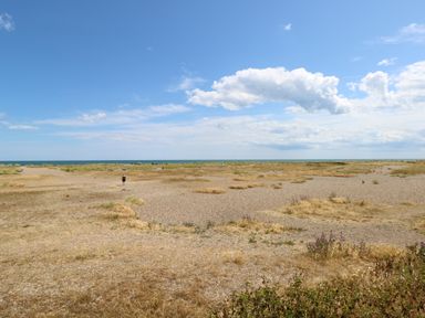 A dry grassy and pebble beach area with a person walking towards the sea at Dollys Lookout in Kessingland
